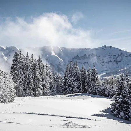 Spacieux Moderne A Megeve, 6 Personnes - Fr-1-569-129 Appartement